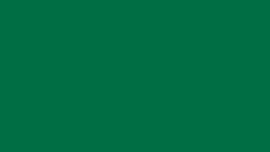 Emerald Ray