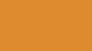 Citrus Dusk