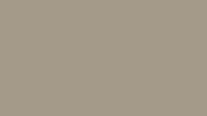 Muted Sandstone