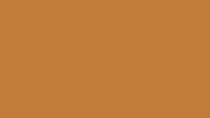 Tangerine Dawn