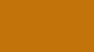 Tangerine Meadow