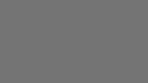 Graphite Shade