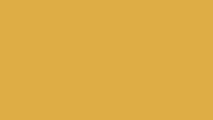 Amber Obsidian