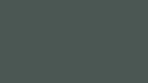 Mint Hue