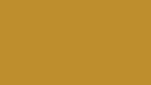 Apricot Breeze