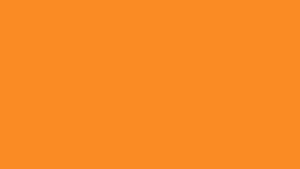 Apricot Fog
