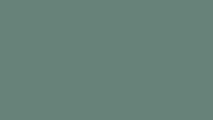 Arctic Shadow