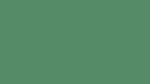 Citrus Slate
