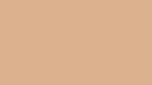 Burnished Blush