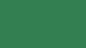 Citrus Willow