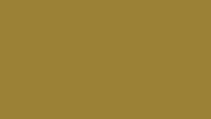 Golden Sun